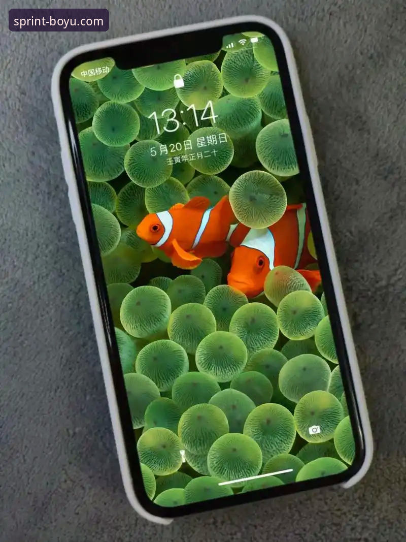 博鱼体育高清直播iOS版实用技巧：从安装到观赛的完整指南
